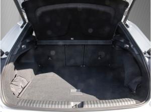 Cupra Terramar 2.0 TSI VZ 4Drive AHK/Pano