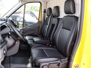 Ford Transit Kasten Basis 350 L4H3 Allwetter Laderaumschutz