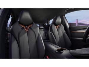 Cupra Tavascan Endurance *FREI KONFIGURIERBAR*