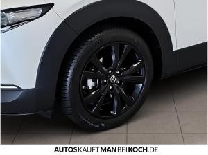 Mazda CX-30 PRIVAT MAZDA CX-30 2.5L 140 PS HOMURA // MODELL 2025