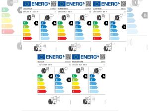 Seat Ibiza Road Edition 1.0 TSI 116 PS 6-Gang / Stuttgart Spezial