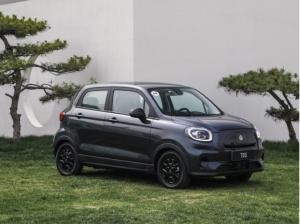 Leapmotor T03 !! Leapmotor - Jetzt neu bei uns! 6x in Mittelhessen!