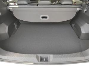 Subaru Crosstrek 2.0ie e-BOXER Platinum Schiebdach