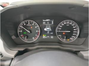 Subaru Crosstrek 2.0ie e-BOXER Platinum Schiebdach