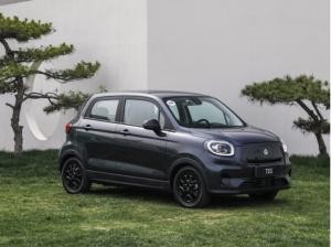 Leapmotor T03 Inkl. Allwetterreifen *Sofort Verfügbar*