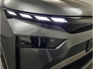 Skoda ENYAQ Enyaq 60 AHK Pano Matrix W-Pumpe 20