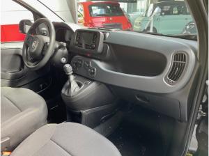 Fiat Panda 1.0 Hybrid SOFORT VERFÜGBAR