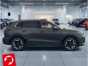 Volkswagen Tiguan R-Line 1,5 eHybrid OPF (150 PS)/(115 PS) DSG*AHK*WINTERRÄDER*GEWERBE