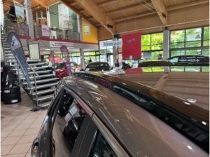 Kia Niro 1.6 HEV 129 DCT VIS KOM STY **Privat Spezial**