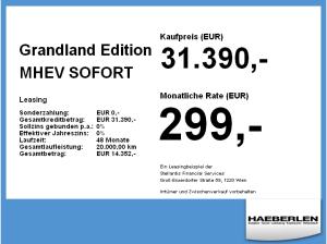 Opel Grandland Edition MHEV PDC*Multimedia*DAB