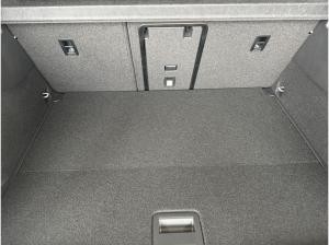 Cupra Born (MJ24.2) h