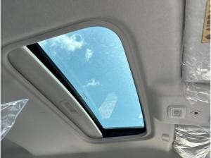 Dacia Sandero Stepway Extreme TCe 110 *Schiebedach*Navi*Kamera*uvm.