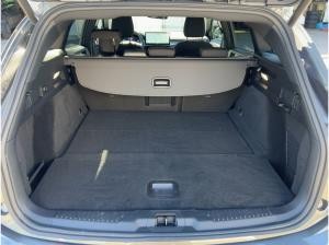 Ford Focus TURNIER Mild-Hybrid ST-Line X