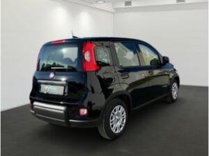 Fiat Panda 1.0 GSE Hybrid ***Sofort verfügbar