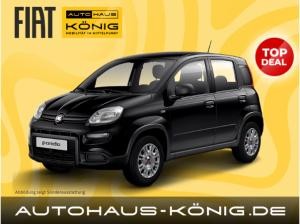 Fiat Panda | Citypaket | Inkl. Bereitstellungskosten ❗️