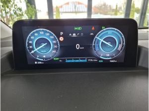 Hyundai STARIA 1.6 T-GDI HEV Trend + Park-Paket + Easy-Access-Paket + 18 Zoll