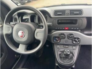 Fiat Panda MY22 | City Plus | Inkl. Bereitstellungskosten ❗️