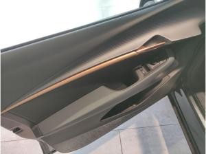 Cupra Tavascan Endurance Below Zero Pack Heat Pump