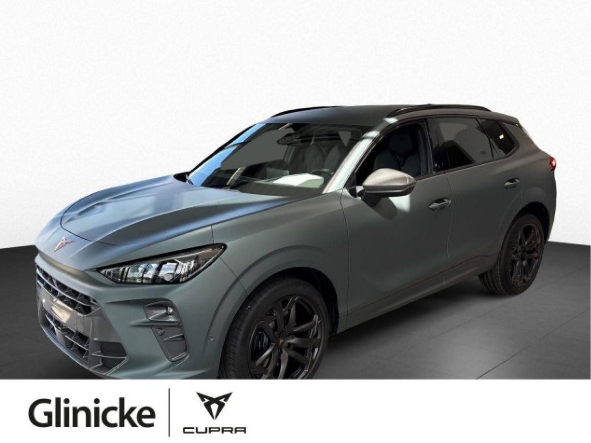 Cupra Terramar America`s CUP 2.0 TSI 195 kW DSG