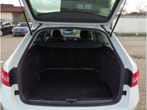 Skoda Superb Combi Amb. TSI DSG LED AHK virtual 18"