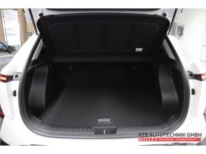 Hyundai KONA Elektro MY26 Trend 49 kWhh 2WD Navi LED ACC