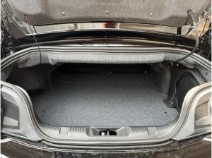 Ford Mustang Convertible GT 5.0 V8 446PS MagneRide Bronze-Paket