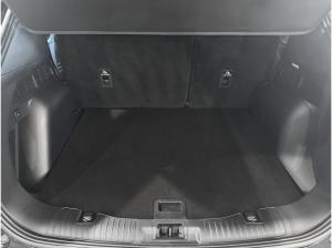 Ford Kuga 1.5 EcoBoost ST-Line *Gebrauchtwagenleasing*