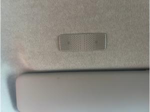 Renault ZOE EXPERIENCE R110 h BATTERIEKAUF