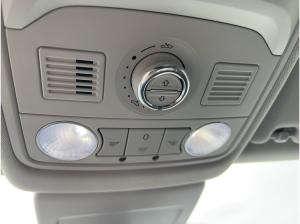 Seat Leon ST FR 1.5 TSI G-TEC ERDGAS Pano Winter-Paket