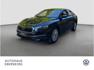 Skoda Octavia 2.0 TSI 4x4 DSG Assist Winter