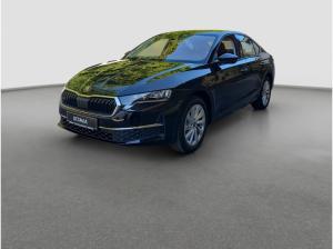 Skoda Octavia 2.0 TSI 4x4 DSG Assist Winter