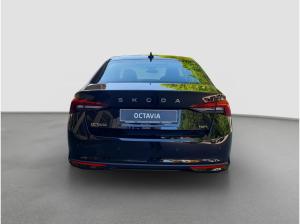 Skoda Octavia 2.0 TSI 4x4 DSG Assist Winter