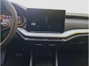 Skoda Octavia 2.0 TSI 4x4 DSG Assist Winter