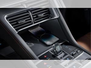 BYD Seal U DM-i Boost ⚡ 18,3 kWh Batterie ⚡