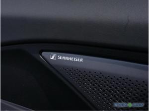 Cupra Terramar 2.0 TSI 4Drive NAVI, SHZ, AHK