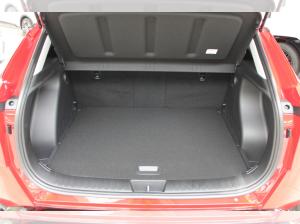 Hyundai KONA Trend Elektro I 377 KM Reichweite I sofort verfügbar