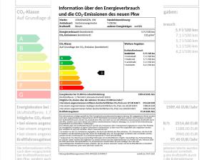 Volkswagen T-Cross GOAL 1.0 TSI *RFK*Allwetter* !! sofort verfügbar !!