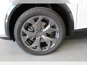 Cupra Formentor mit Allrad | SONDERAKTION -14217