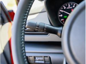 Subaru Crosstrek Active 2.0l Allrad 4x4 Kamera PDC Sitzheizung LED-Scheinwerfer ACC