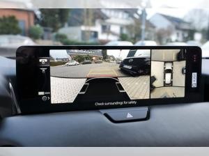 Mazda CX-60 eSKYACTIV D Aut. AWD HOMURA COSO