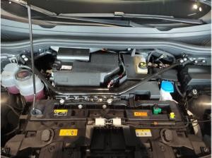 Cupra Tavascan Endurance Below Zero Pack Heat Pump