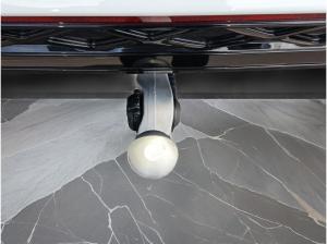 Volkswagen Tiguan R-Line 1,5 l eHybrid DSG (204 PS) AHK+NAVI+IQ.LIGHT *SOFORT VERFÜGBAR*