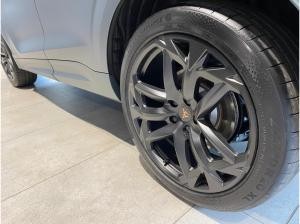 Cupra Terramar America´s Cup Limited Edition Sofort verfügbar 63