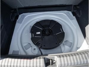 Cupra Terramar VZ 2.0 TSI 195 kW 265 PS 7-Gang DSG Lagerwagen sofort verfügbar