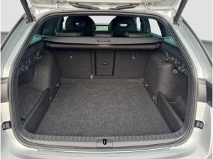 Skoda Octavia Combi 2.0 TDI DSG AHK MATRIX StHzg Winter