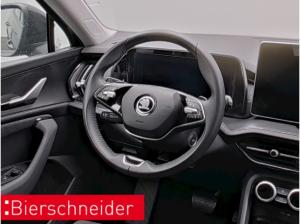 Skoda Kodiaq 2.0 TDI DSG 4x4 Selection AHK NAVI LED