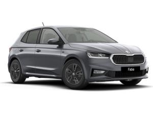 Skoda Fabia Tour 1,0 TSI *Sofort Verfügbar*