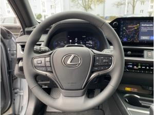 Lexus UX-300h ❤️💥F Sport Design❤️💥