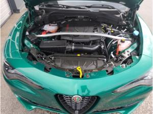 Alfa Romeo Stelvio Gewerbesonderangebot! Veloce Leder + Assist Paket, HK, Pano Sonderlack