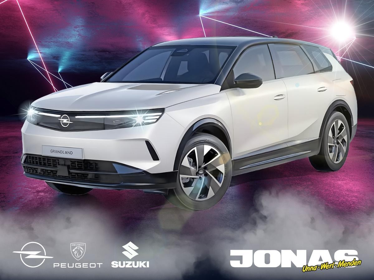 Opel Grandland Electric GS 🧨Gewerbeknaller🧨 AHK Allwetter Heckklappe elektr.